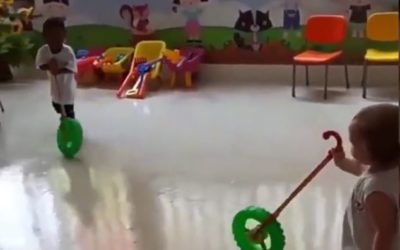 Vamos conhecer o INSP?