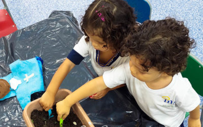 Estudantes colhem o amor plantado em sua horta!