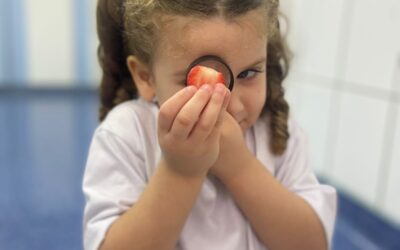 Explorando o Vermelho: Descobertas e Sabores no INSP Total! 🍓🍒