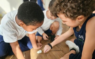 Dia Mundial do Meio Ambiente 💚🌍